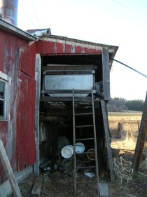 pumping maple sap