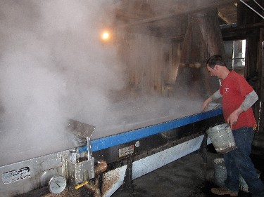 boiling maple syrup, sap pan